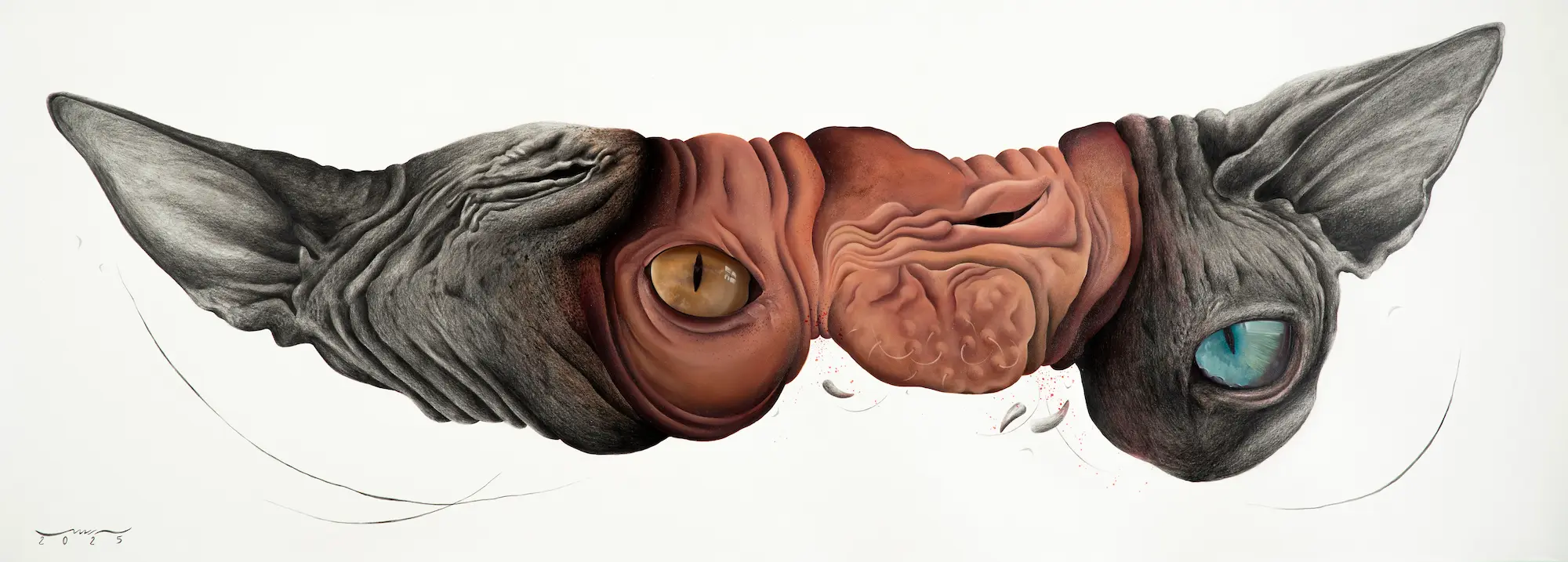 Untitled (Aāshiyan Series)