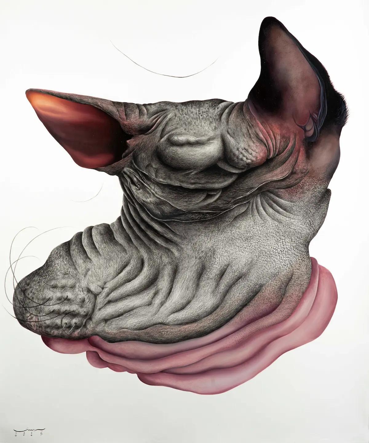 Untitled (Aāshiyan Series)