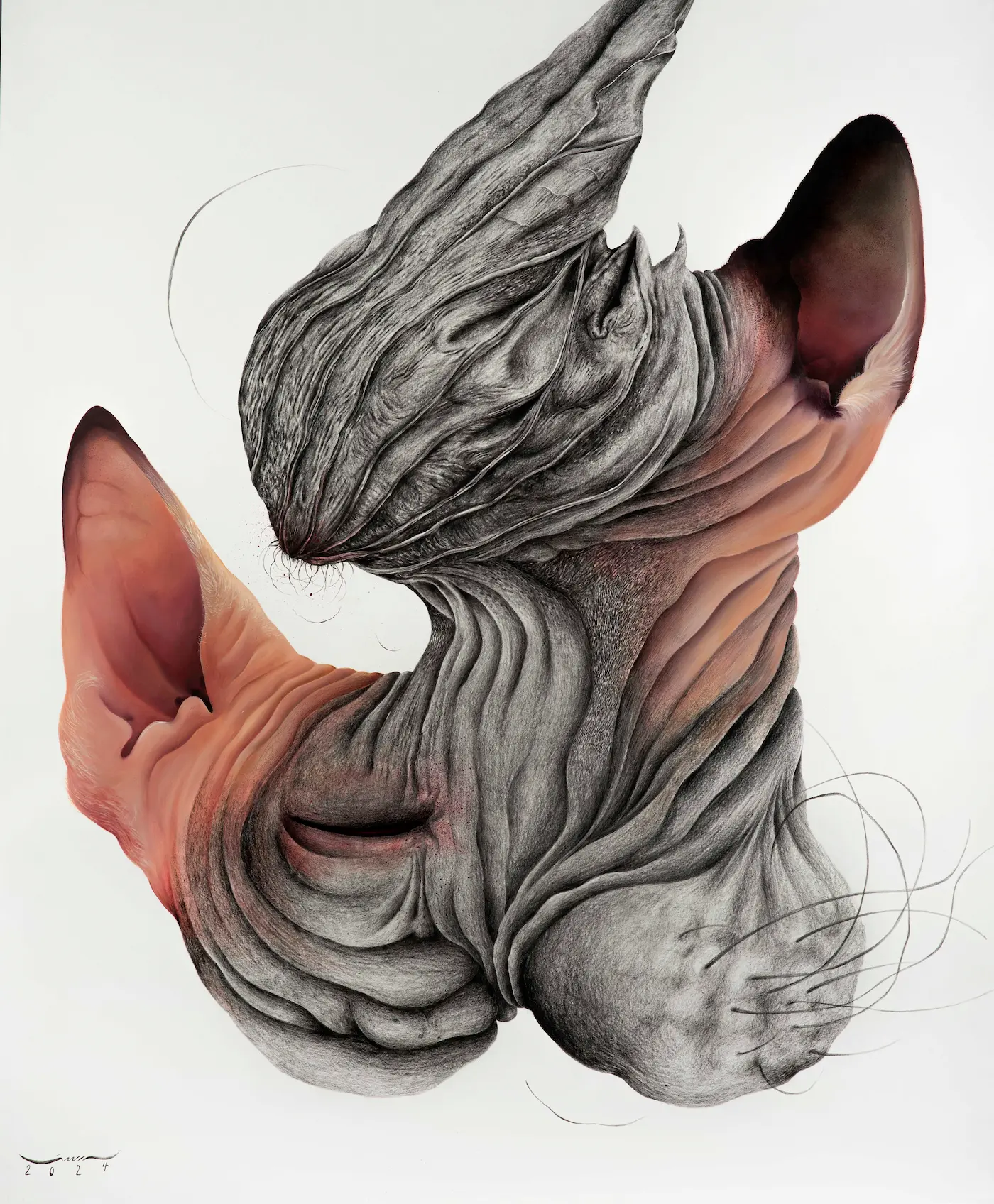 Untitled (Aāshiyan Series)