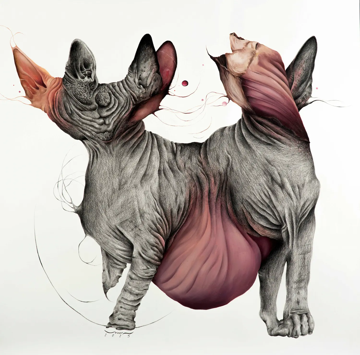 Untitled (Aāshiyan Series)