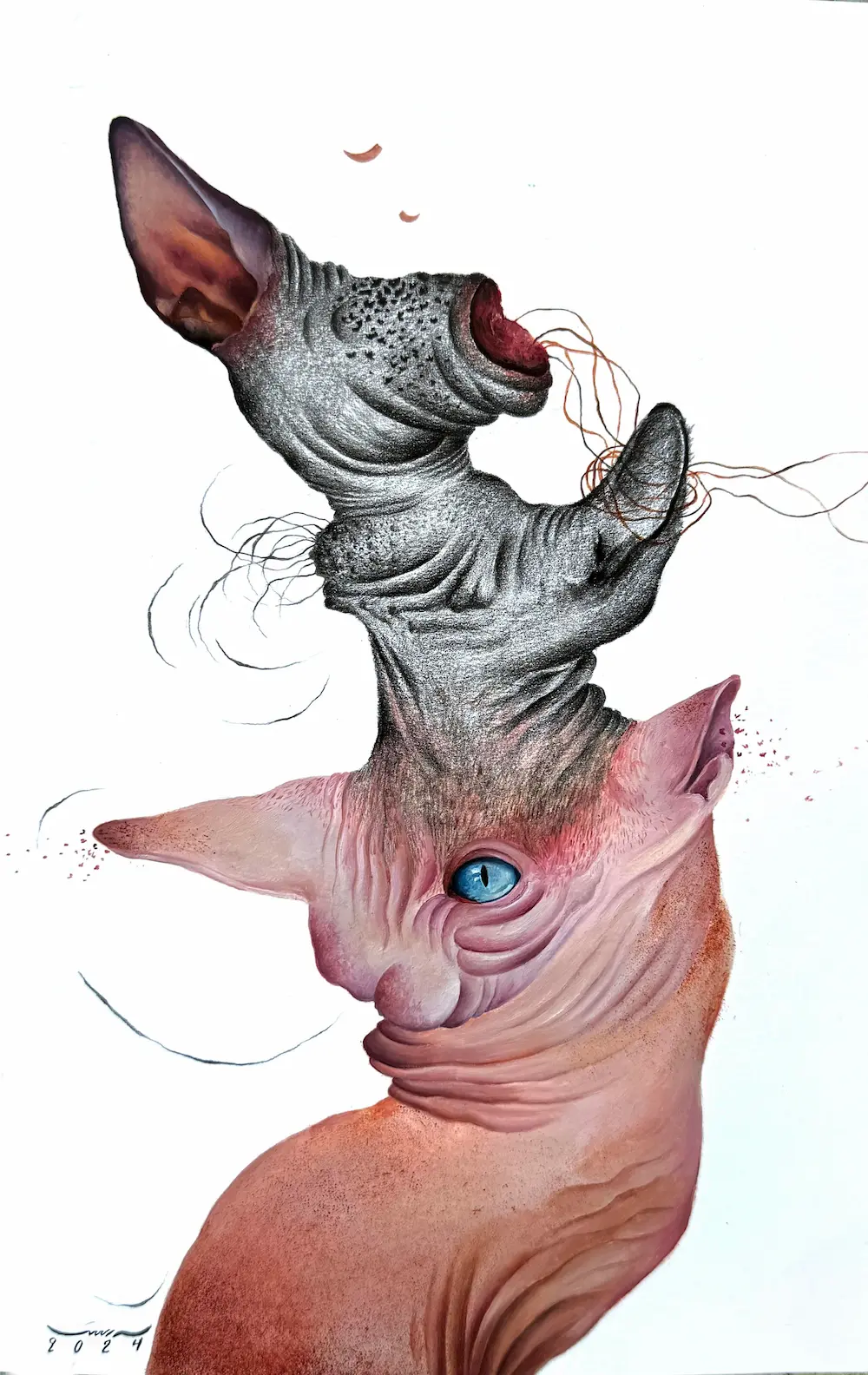 Untitled (Aāshiyan Series)