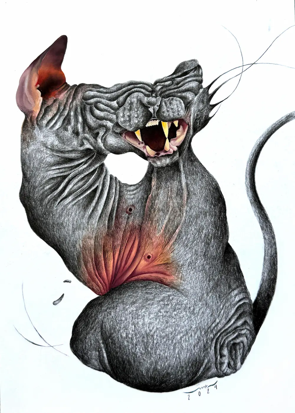 Untitled (Aāshiyan Series)