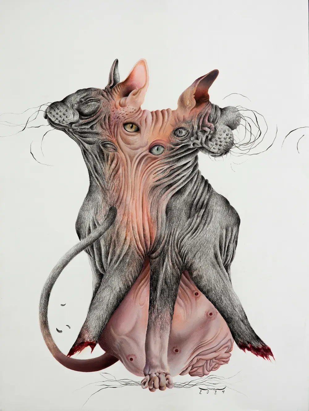 Untitled (Aāshiyan Series)