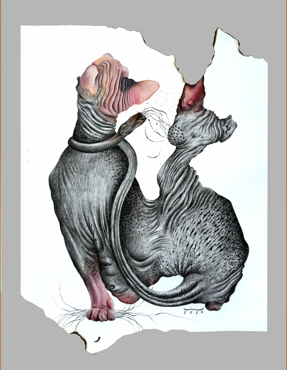 Untitled (Aāshiyan Series)