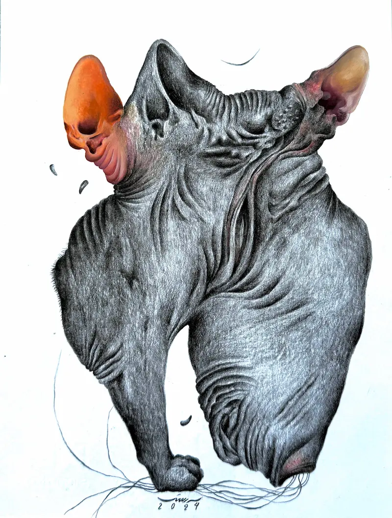 Untitled (Aāshiyan Series)