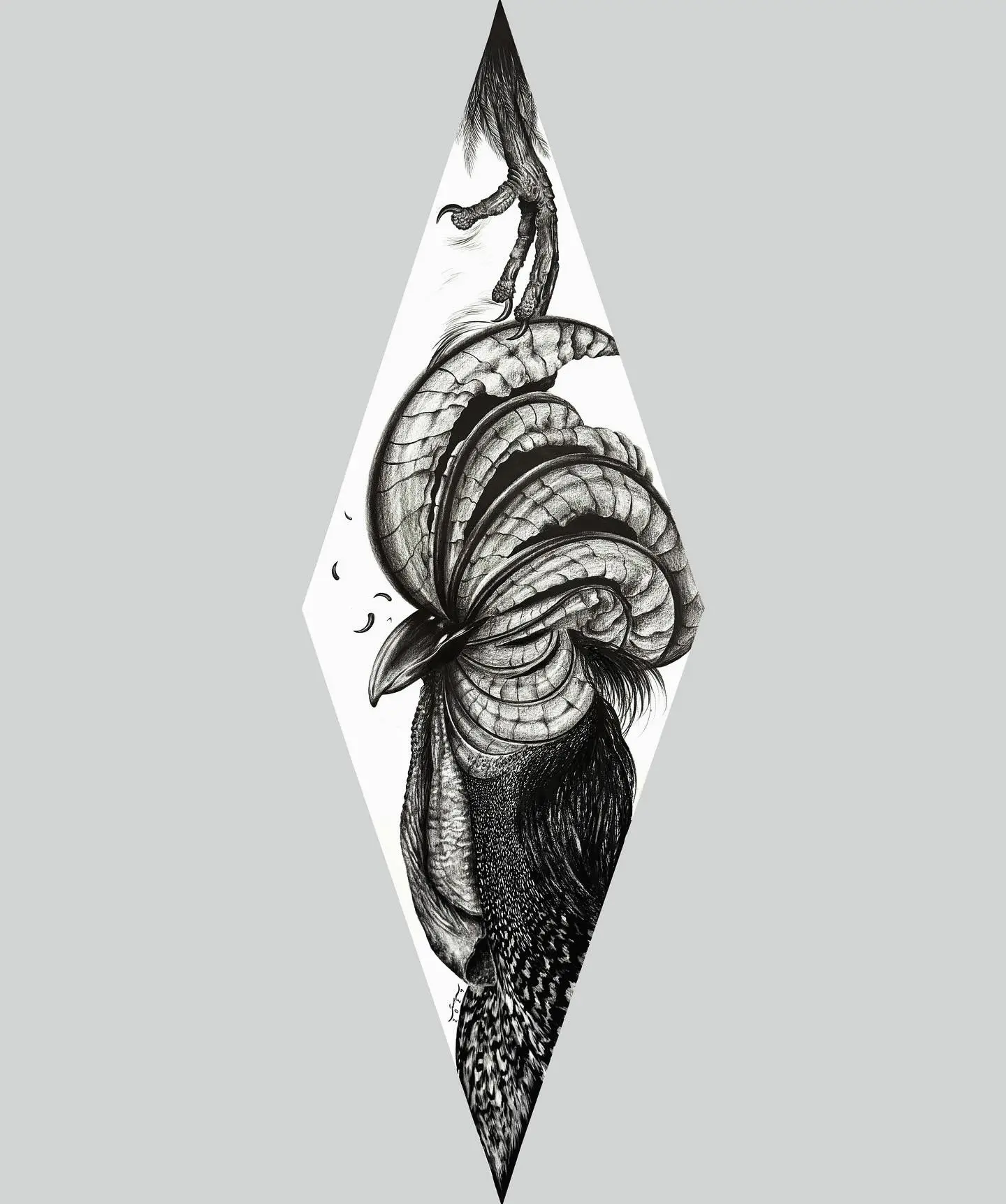 Untitled (Mokafat Series)